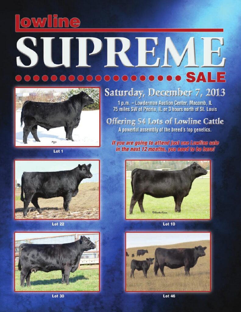 2013 Lowline Supreme Sale