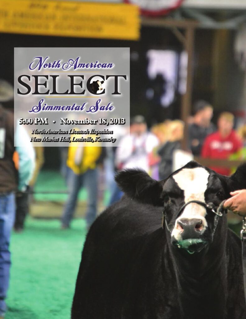 2013 North American Select Simmental Sale