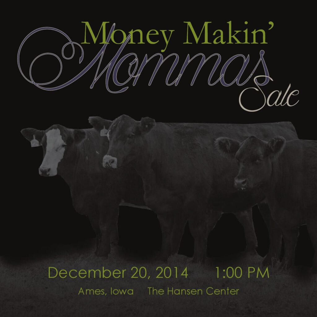 2014 Money Makin' Mommas Sale