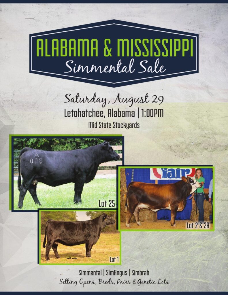 2015 Alabama and Mississippi Simmental Sale