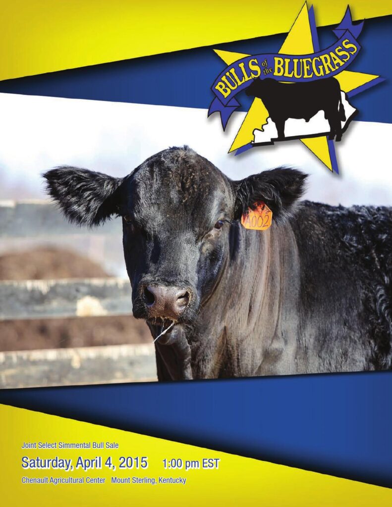 2015 Bulls of the Bluegrass Sale