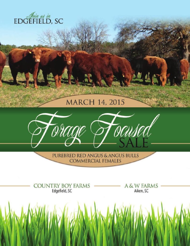 2015 Forage Focused Bull Sale
