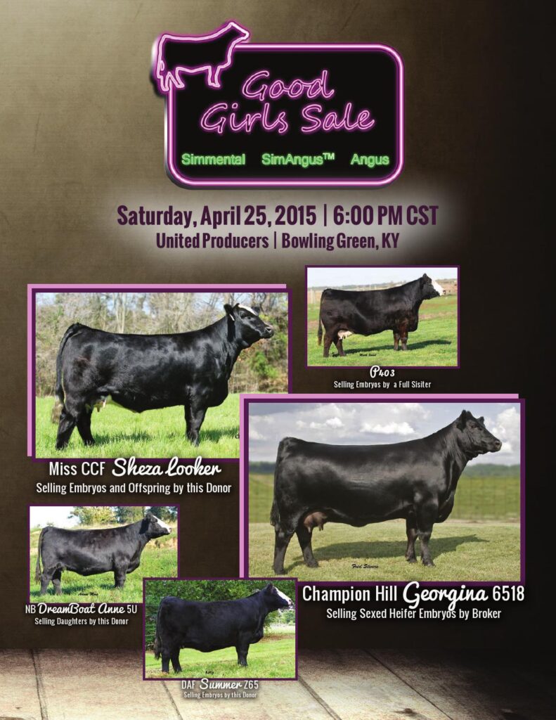 2015 Good Girls Sale