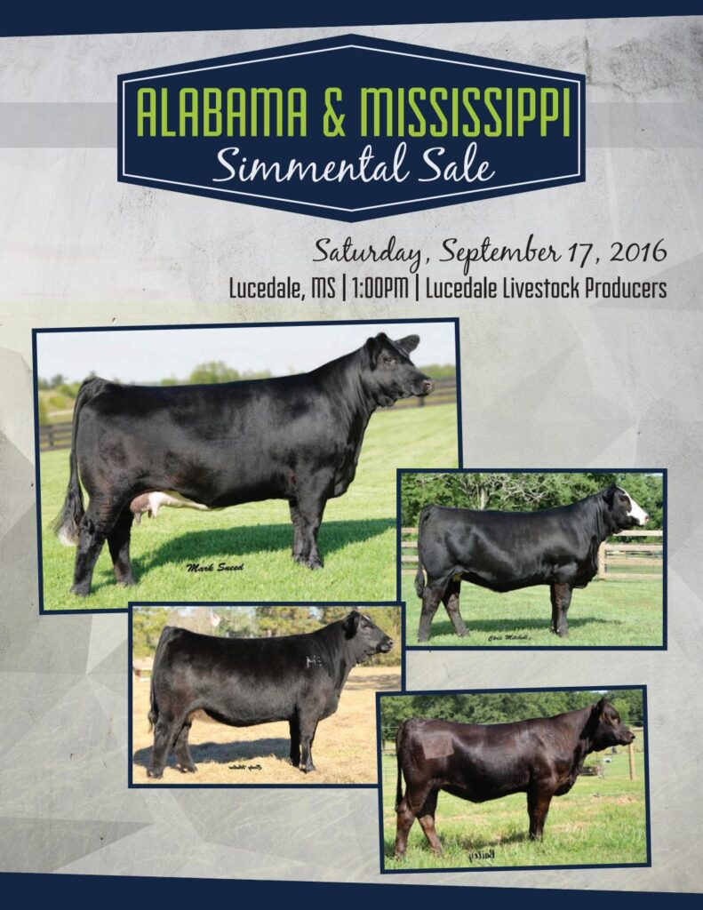 2016 Alabama & Mississippi Simmental Sale