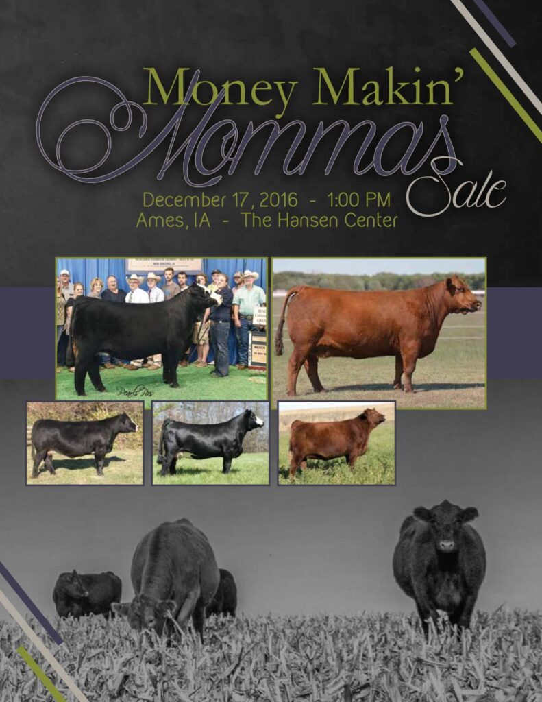 2016 Money Makin' Mommas Sale