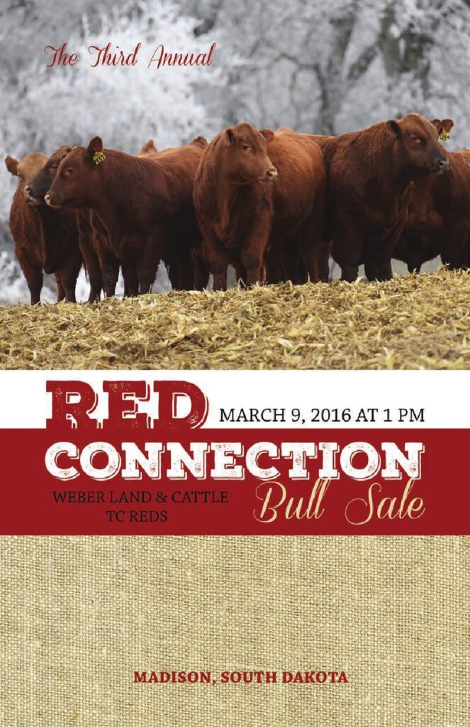 2016 Red Connection Bull Sale