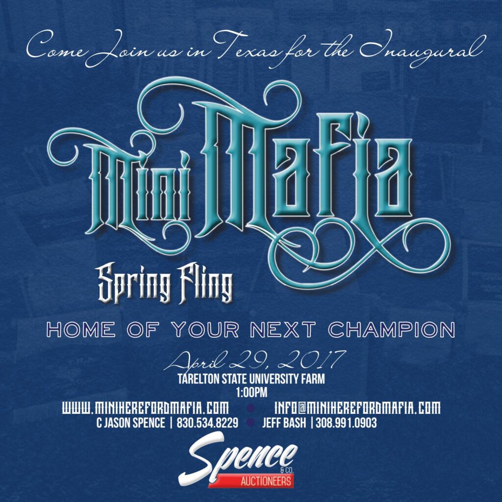 2017 Mini Mafia Spring Fling Sale