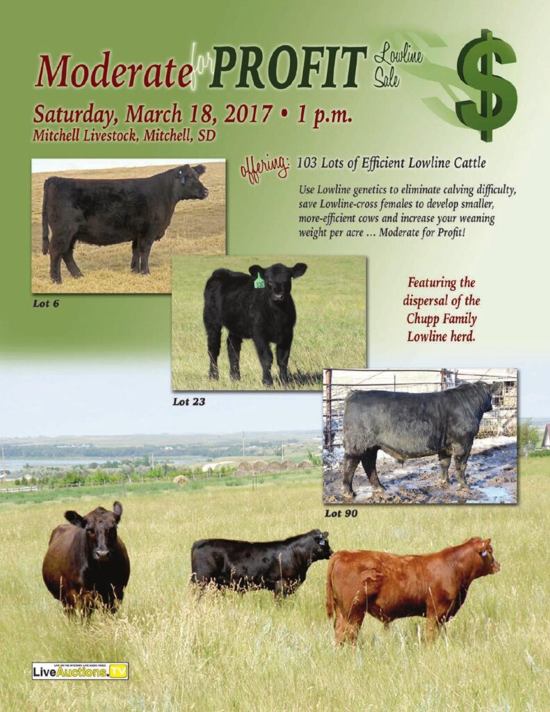 2017 Moderate For Profit Lowline Sale