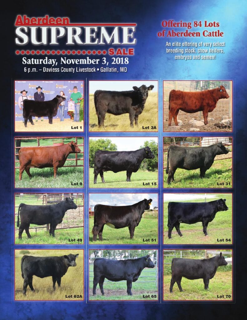 2018 Aberdeen Supreme Sale