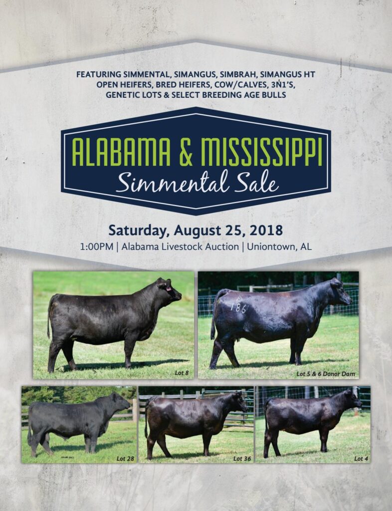 2018 Alabama & Mississippi Simmental Sale