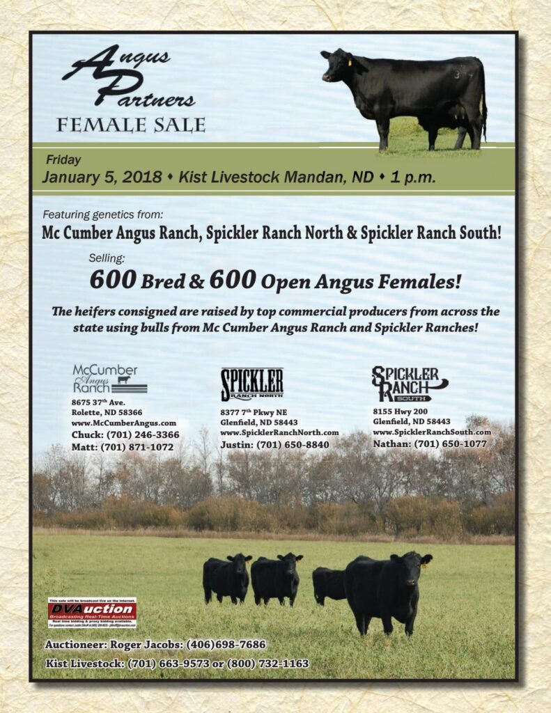 2018 Angus Partners Female Sale