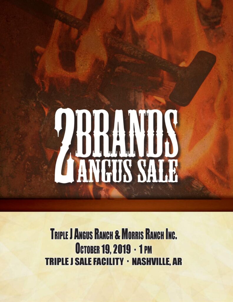 2019 2 Brands Sale