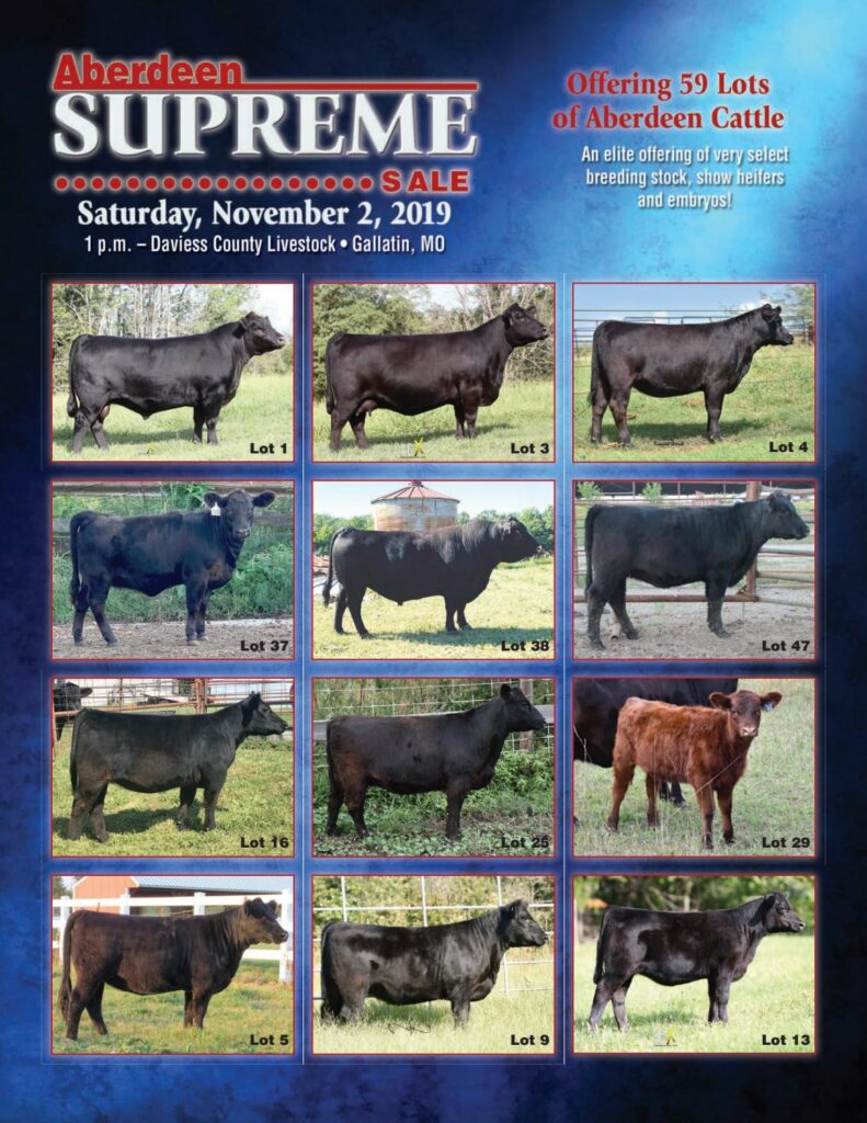 2019 Aberdeen Supreme Sale