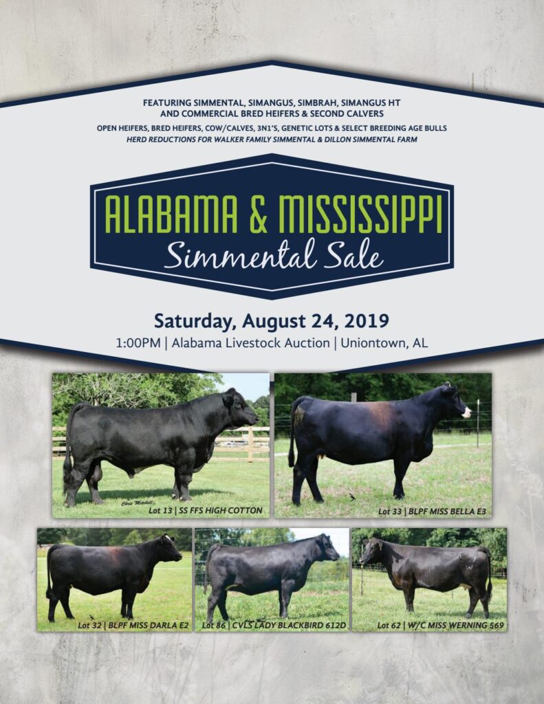 2019 Alabama & Mississippi Simmental Sale