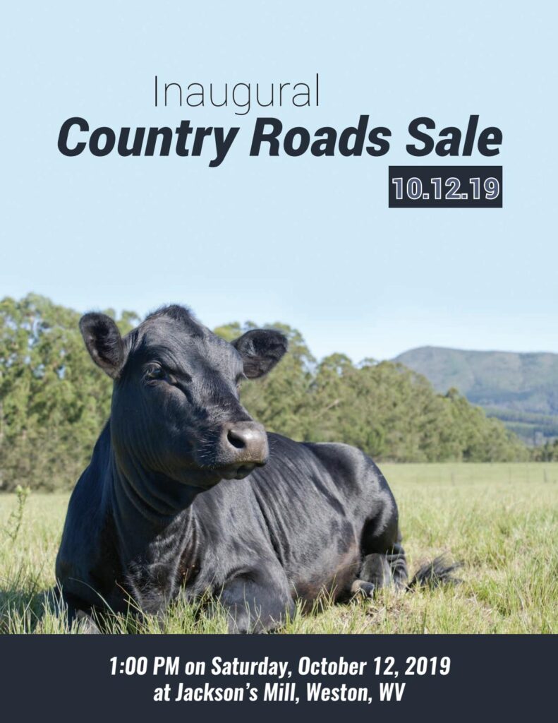 2019 Country Roads Sale