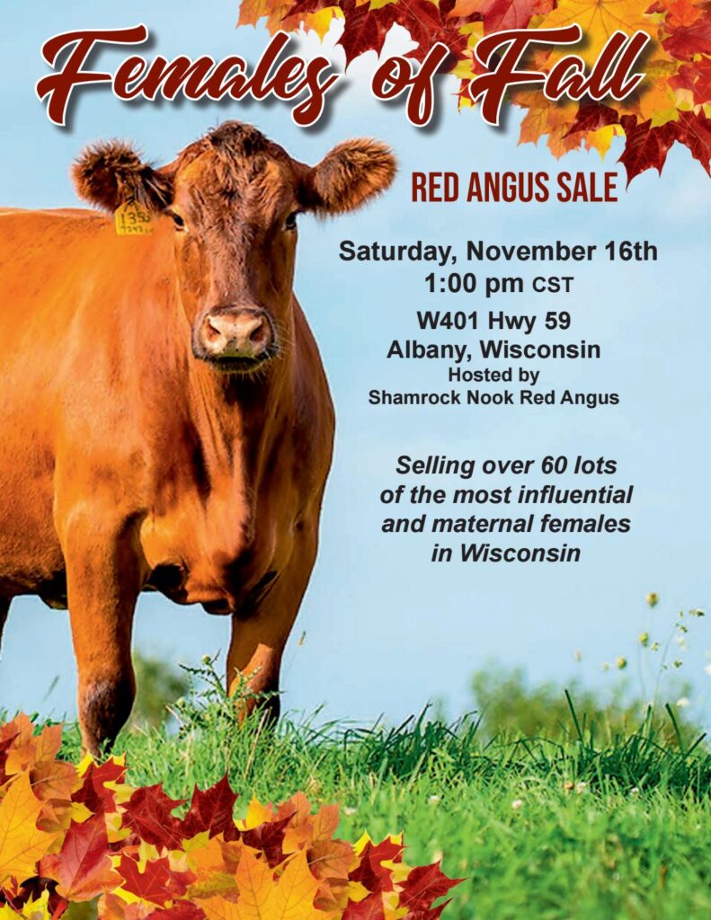 2019 Females of Fall Sale