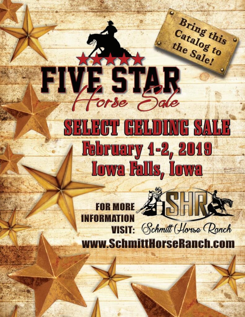 2019 Five Star Horse Sale