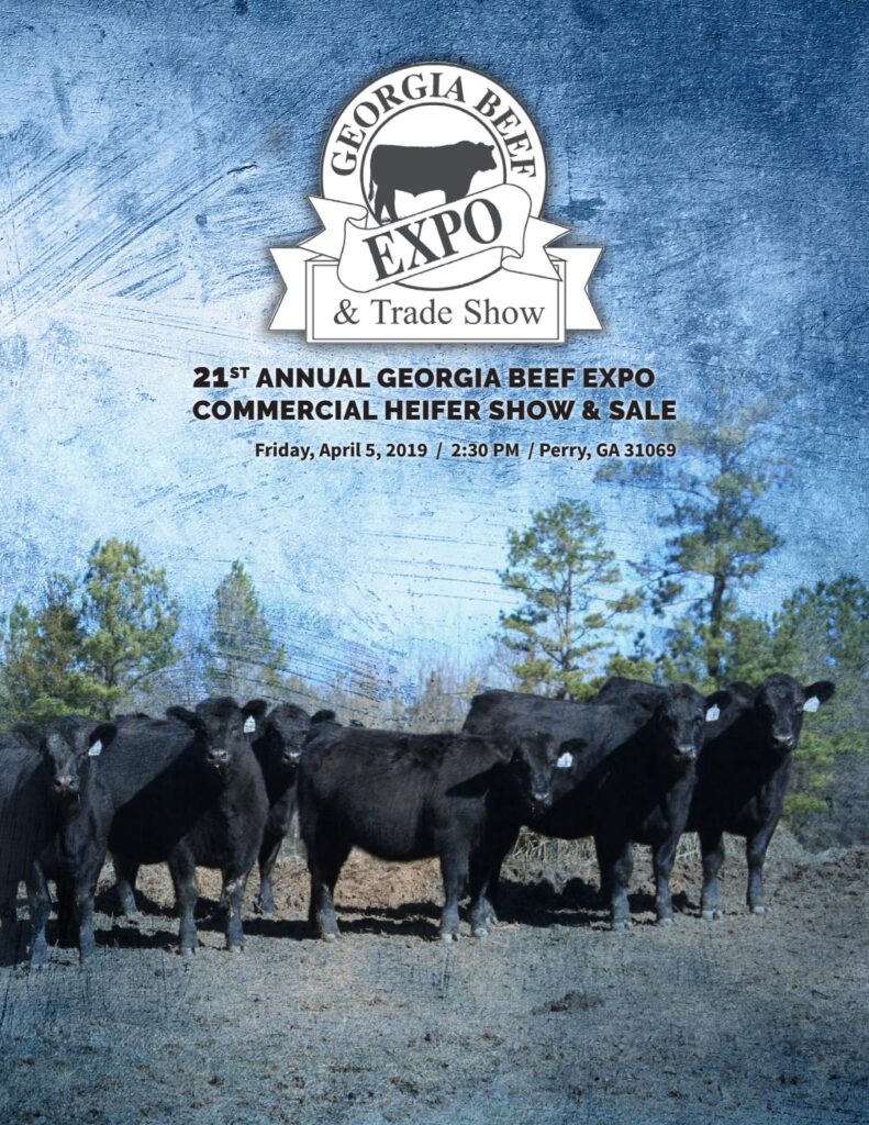 2019 Georgia Beef Expo Female Pen Sale
