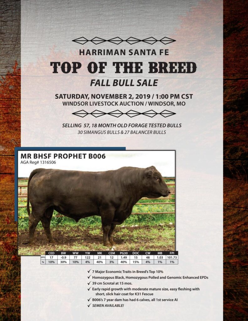 2019 Harriman Santa Fe Fall Bull Sale