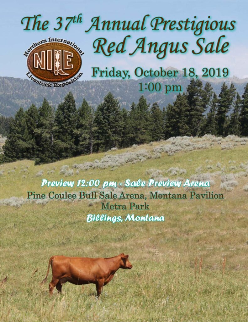 2019 NILE Red Angus Sale