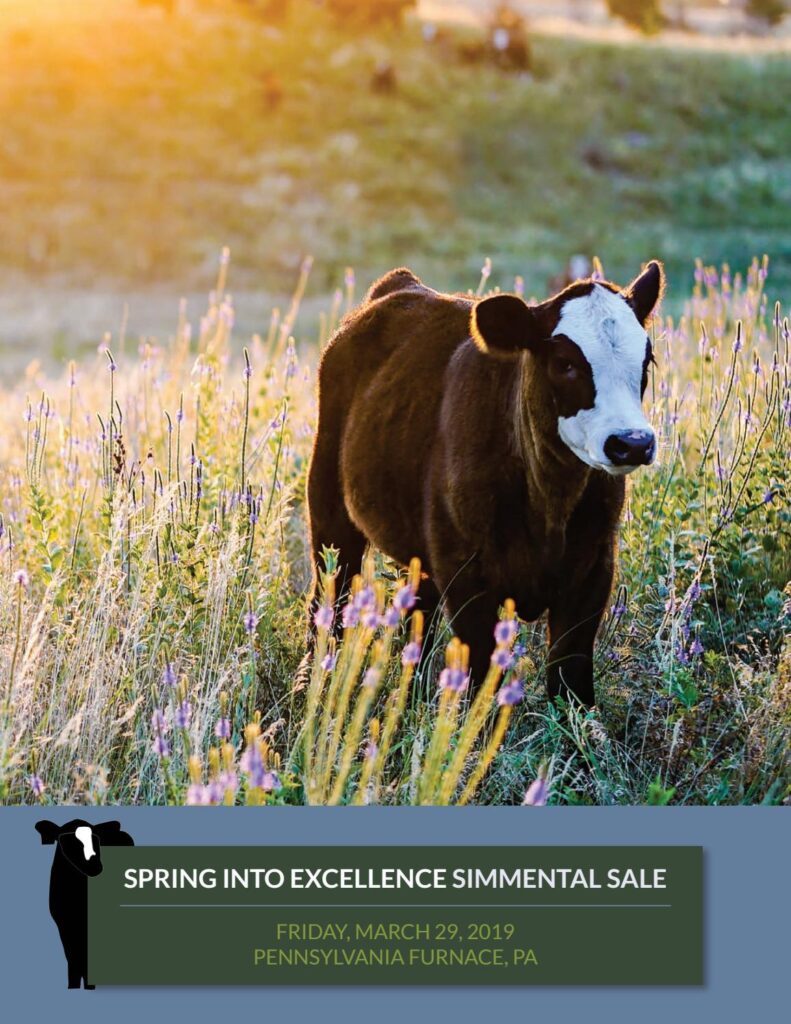 2019 Spring Into Excellence Sale