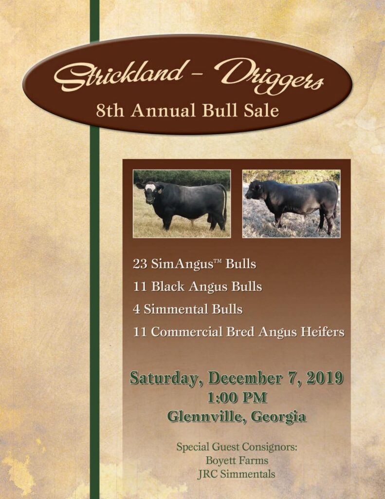 2019 Strickland Driggers Sale