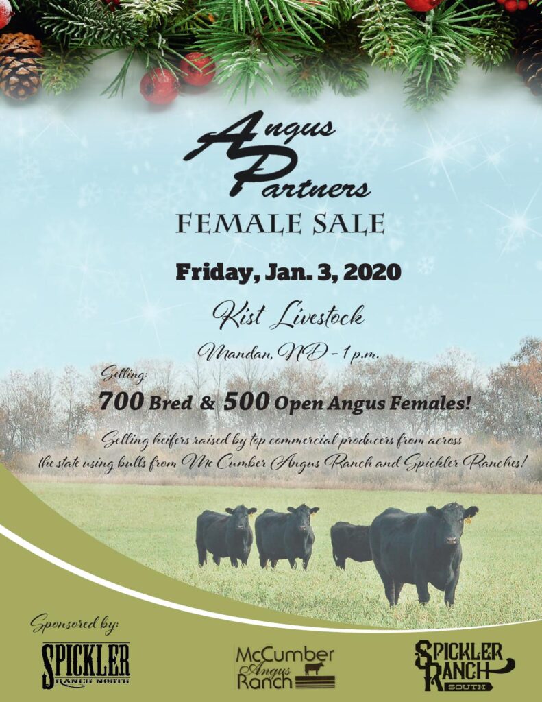 2020 Angus Partners Sale