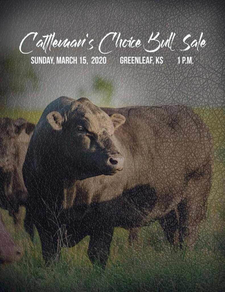 2020 Cattleman's Choice Bull Sale