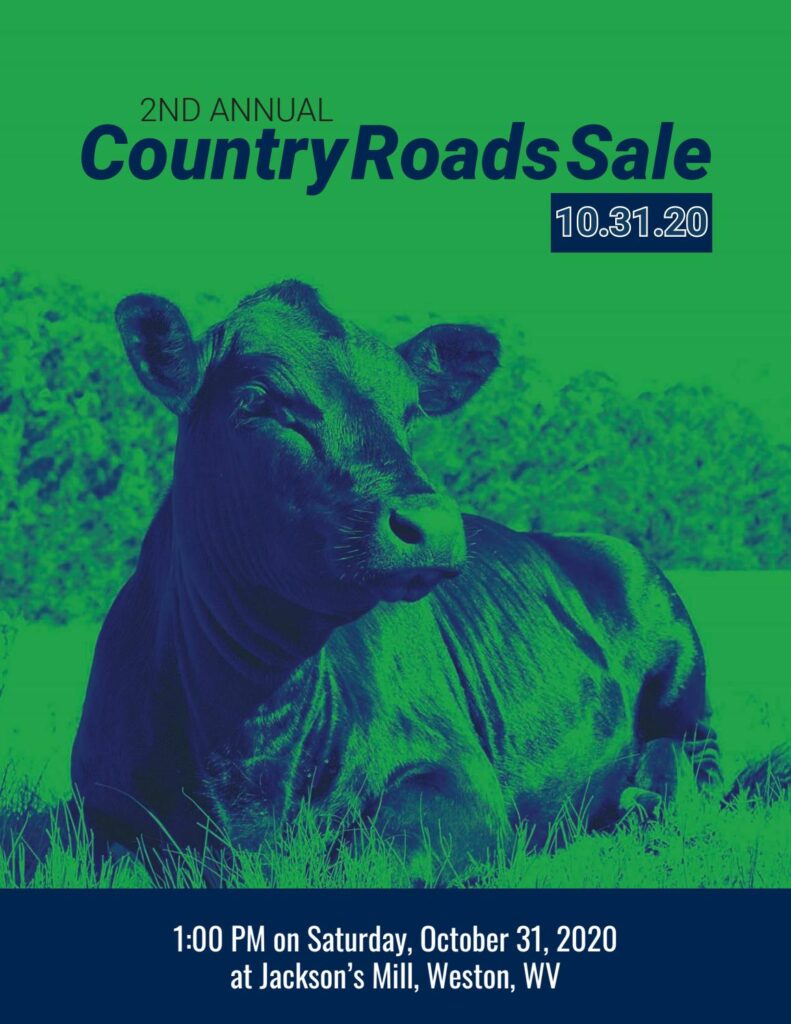 2020 Country Roads Sale