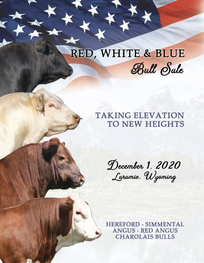 2020 Fall Red, White, and Blue Sale