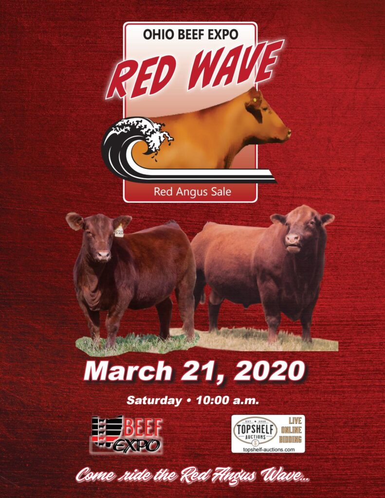 2020 Ohio Beef Expo Red Wave Red Angus Sale