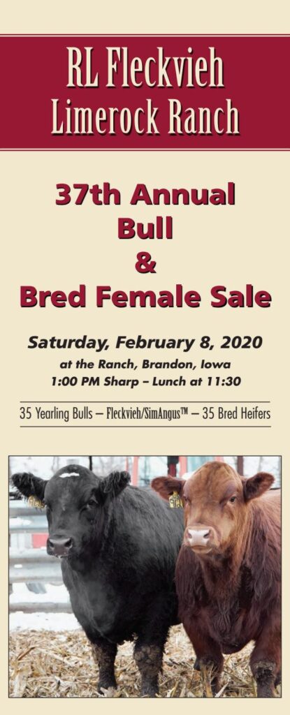 2020 RL Fleckvieh/Limeroch Ranch sale