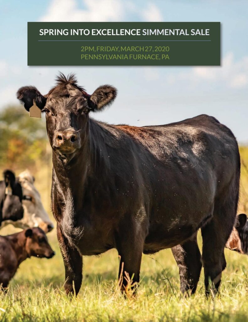 2020 Spring Into Excellence Sale