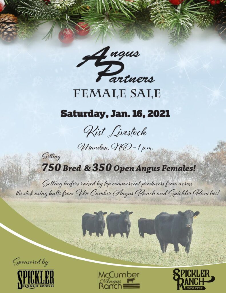 2021 Angus Partners Sale