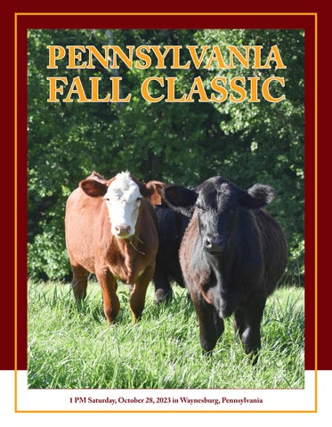 2023 Pennsylvania Fall Classic Sale