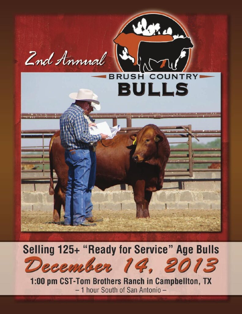 2nd Annual Brush Country Bull Sale