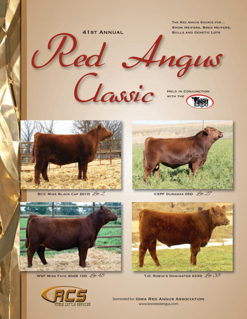 41st Annual Red Angus Classic Sale