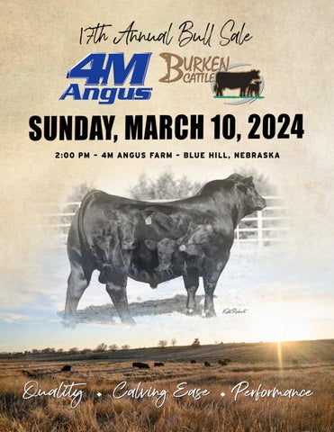 4M Angus 17th Annual Bull Sale