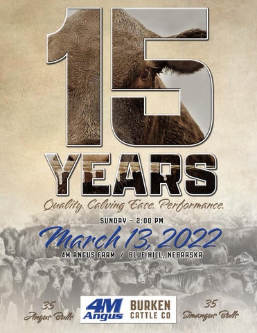 4M Angus & Burken Cattle Co - 2022 Spring Bull Sale