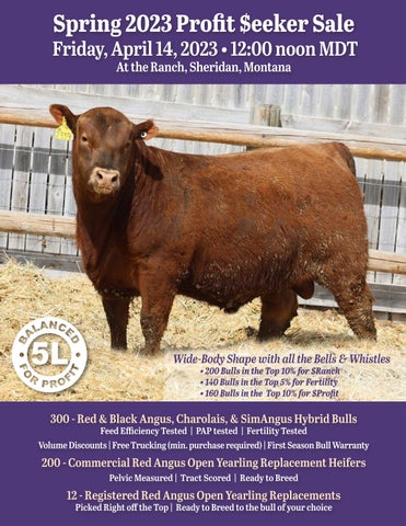 5L Red Angus - 2023 Profit Seeker Sale
