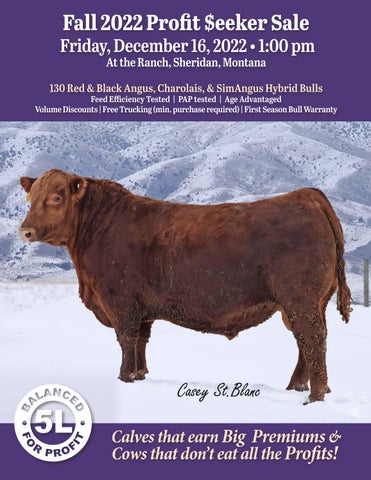 5L Red Angus - Fall 2022 Profit Seeker Sale