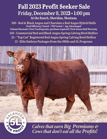 5L Red Angus Fall 2023 Profit $eeker Sale