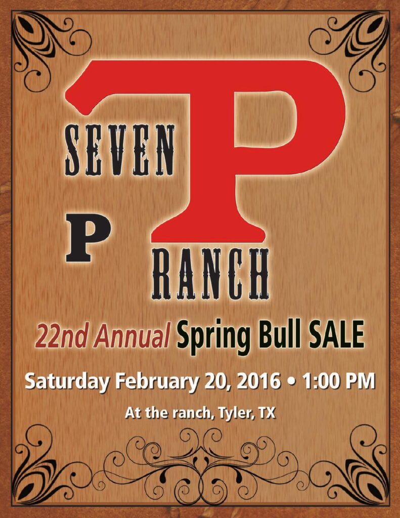 7P Ranch - 2016 Spring Bull Sale