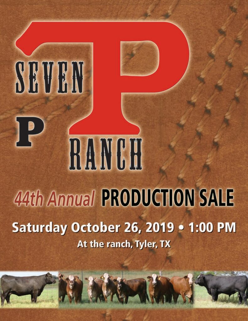 7P Ranch - 2019 Fall Bull Sale