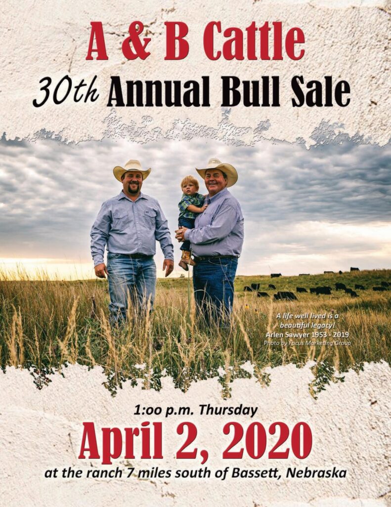 A & B Cattle Company - 2020 Sale