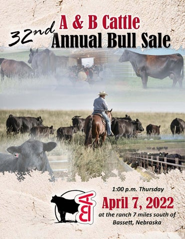 A & B Cattle Company - 2022 Spring Sale