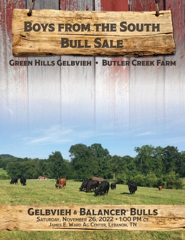 AGA - 2022 Fall Boys from the South Sale
