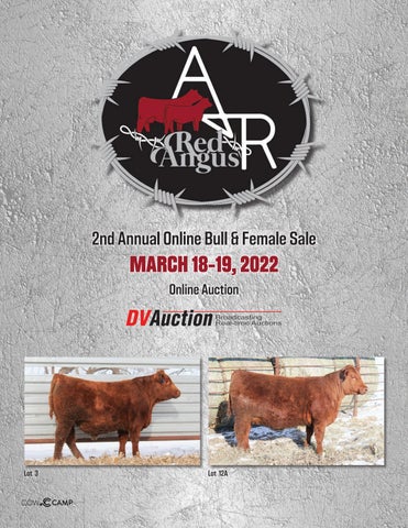 A&R Red Angus - 2022 Spring Online Sale