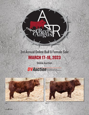 A&R Red Angus - 2023 Spring Online Sale