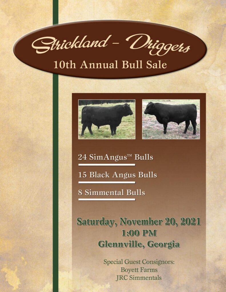 ASA - 2021 Fall Strickland Driggers Sale